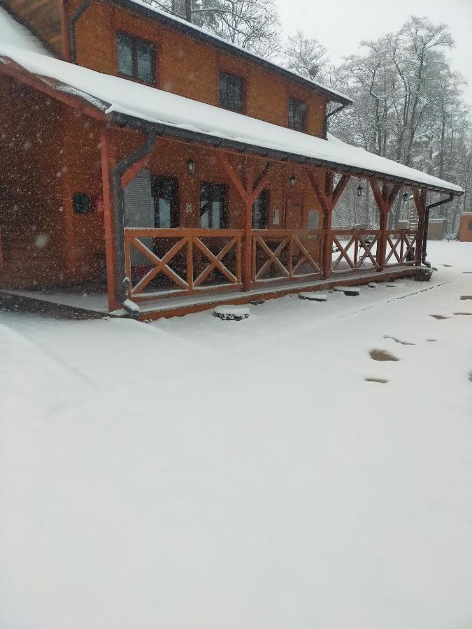 Przywisle Hotel Ustron Exterior photo